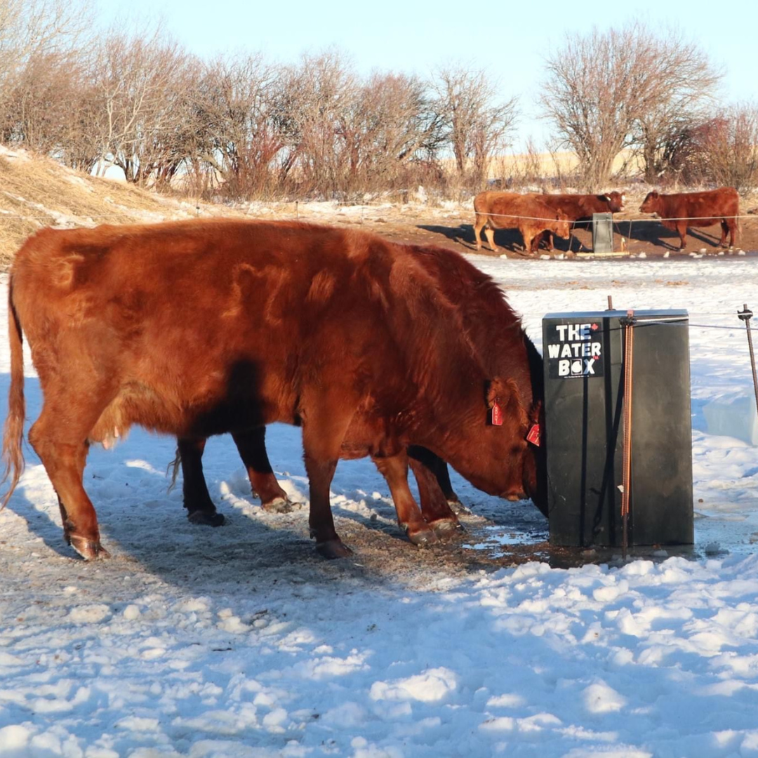 The Water Box™
